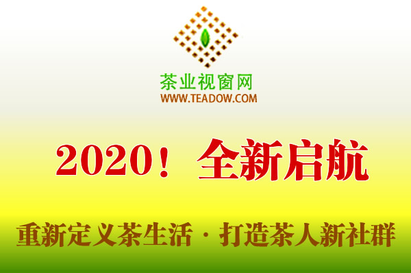 茶业视窗网——观心斋以社群为中心，重新定义茶人的生活